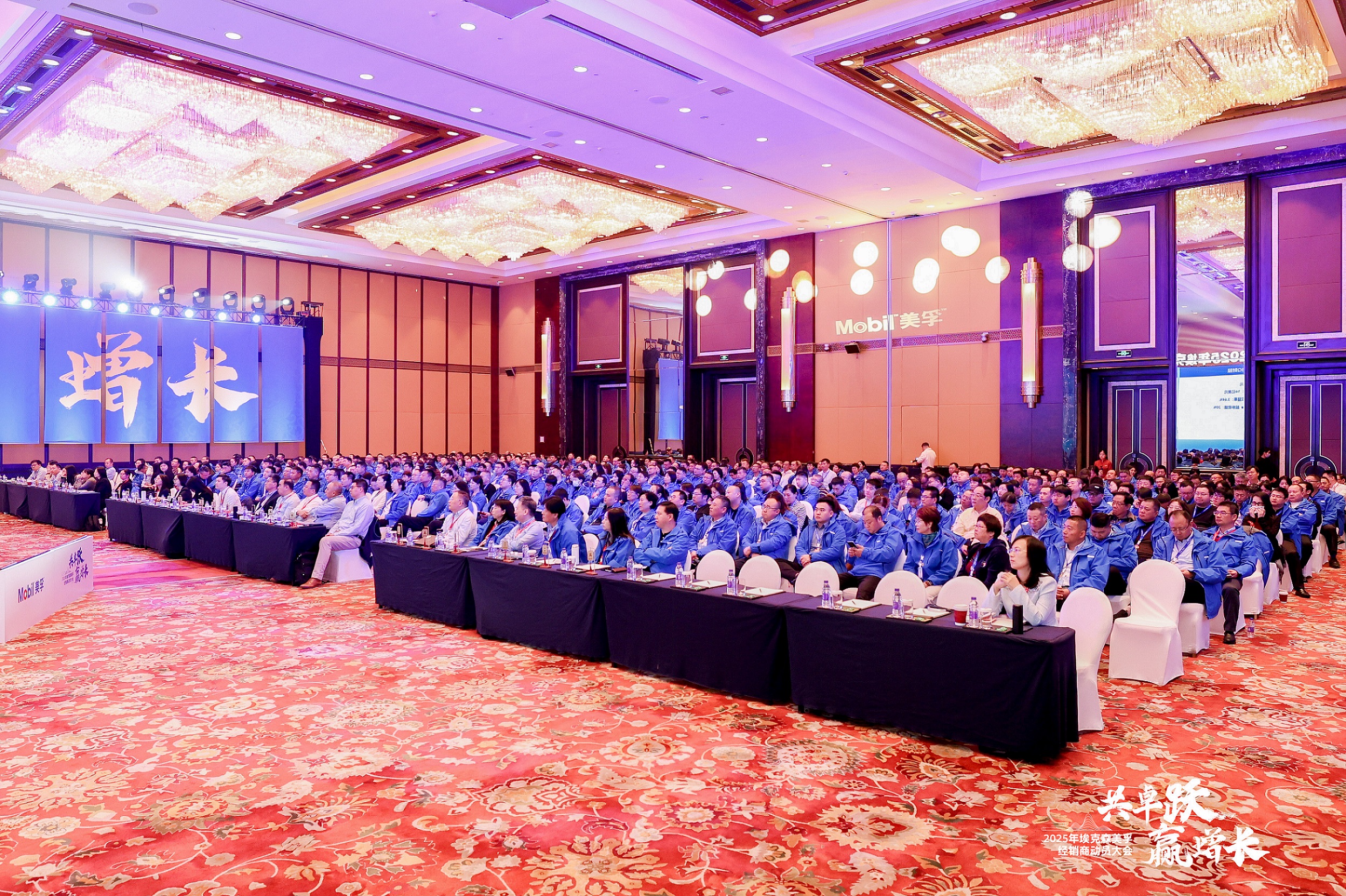 1734595276746619.jpg 5.jpg